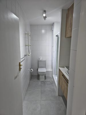 white toilet